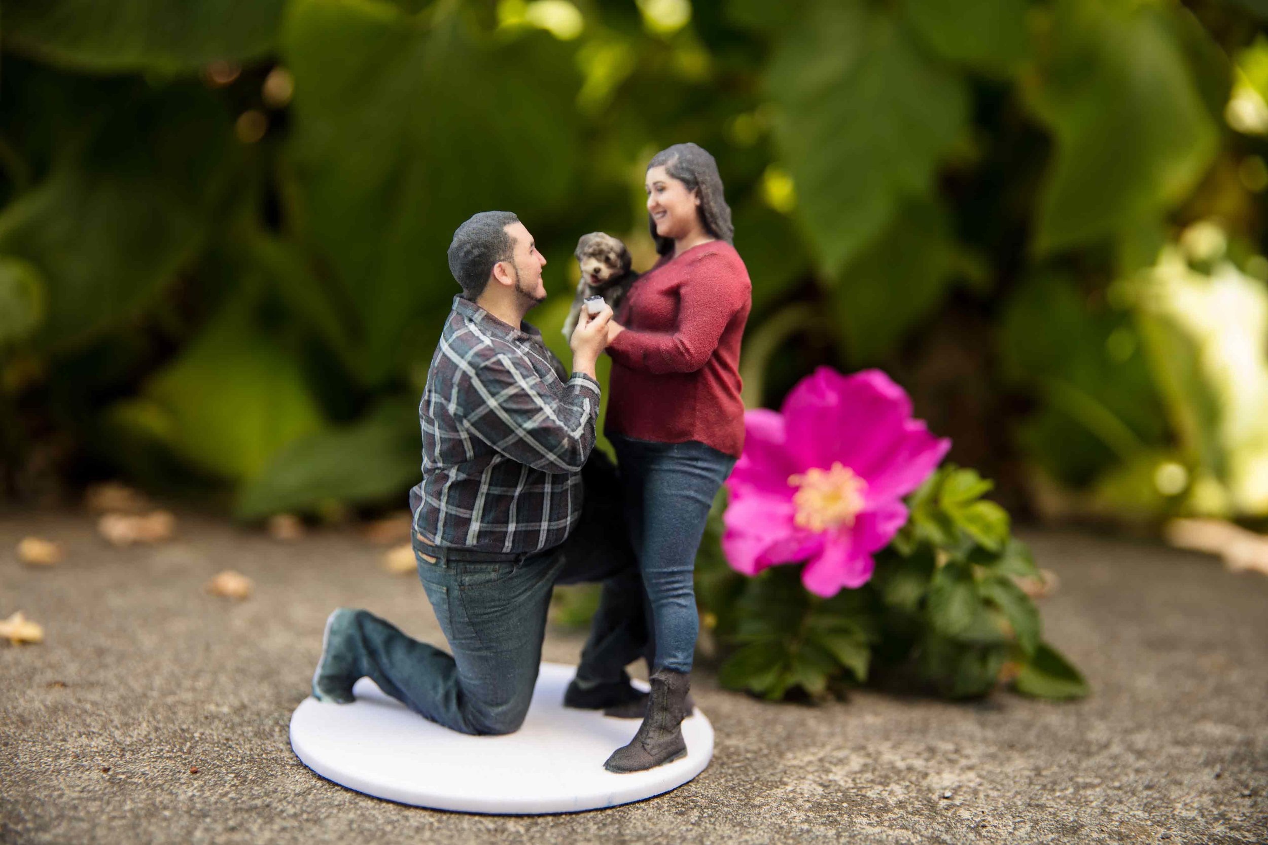 The engagement pose (Copy)