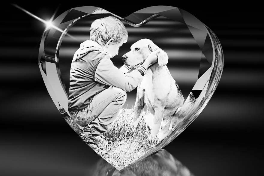 Holodeck+Crystal+Heart+Boy+and+Dog.png